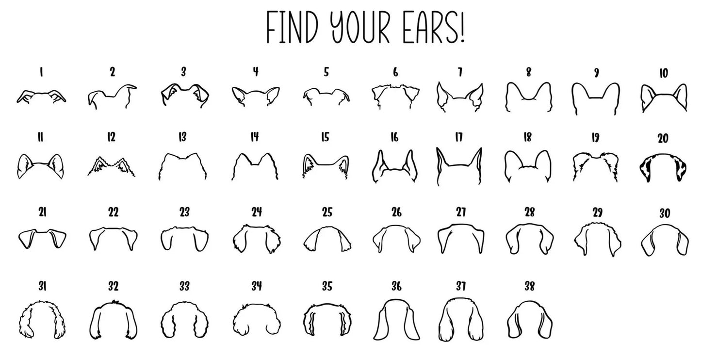 Memorial Dog Ears & Collar Frame