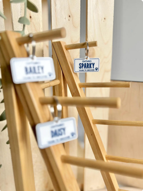 Pet ID Tag - Ontario License Plate