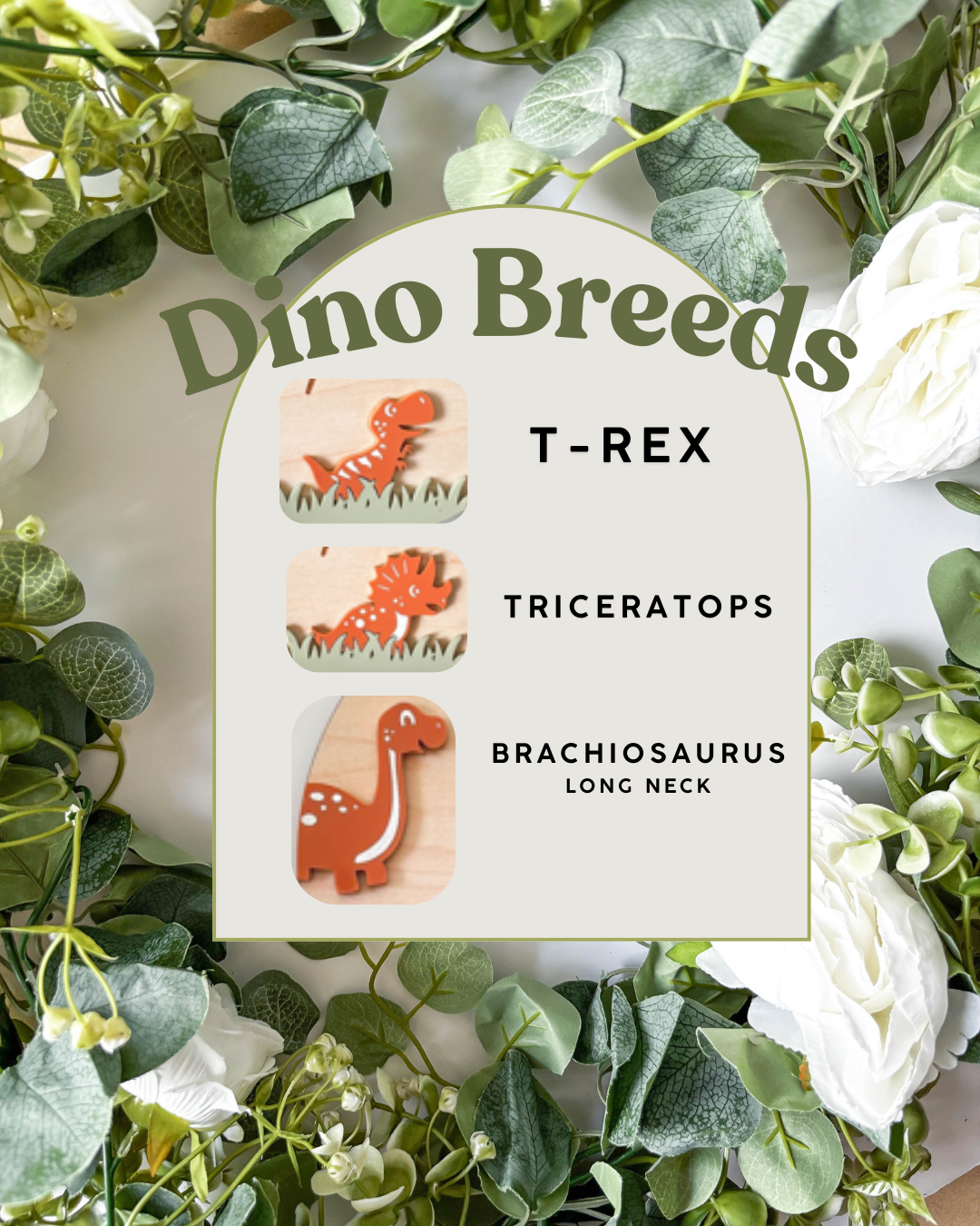 Promoted to Big Brother Plaque - Dinosaur