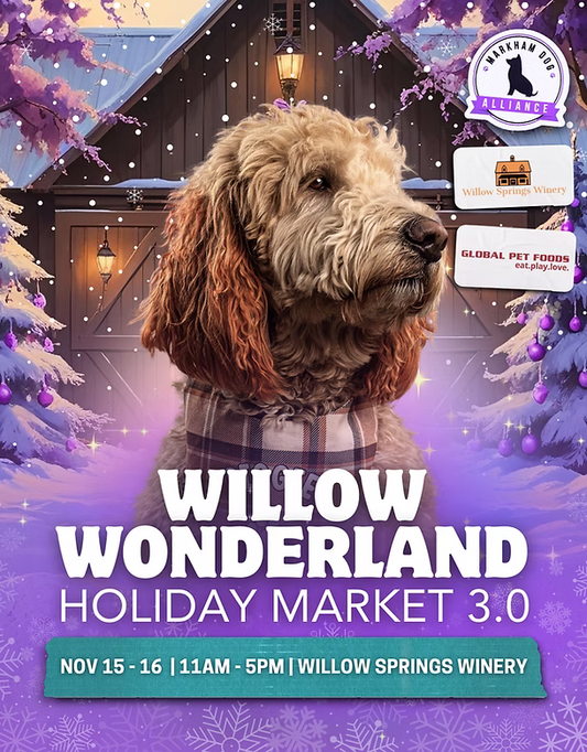 Willow Wonderland Holiday Market!