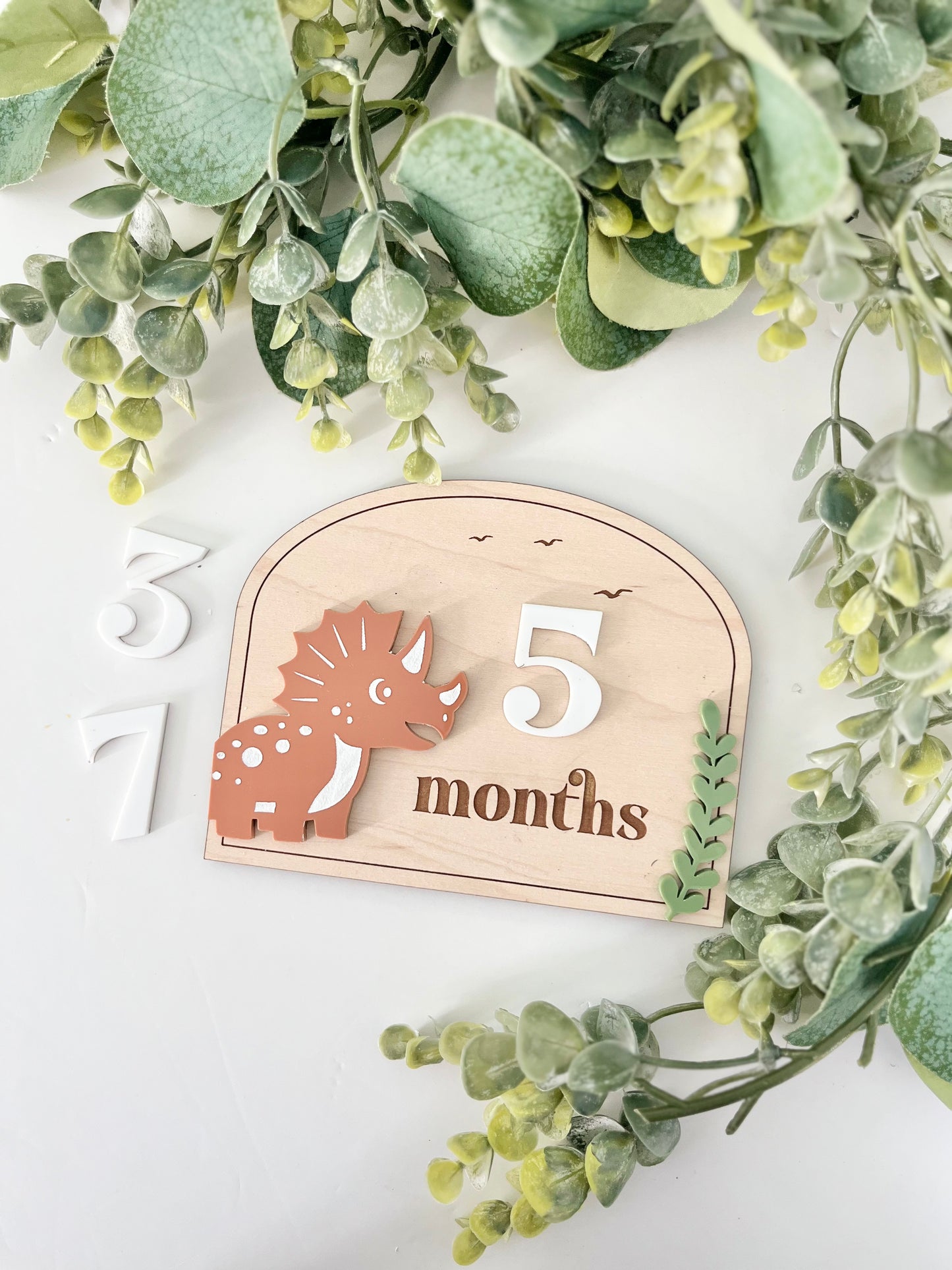 Baby Milestones - Dinosaur