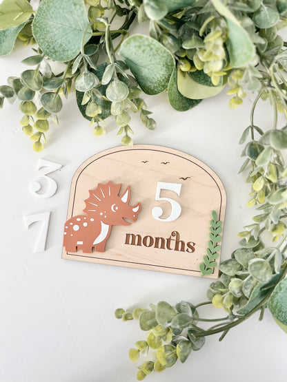 Baby Milestones - Dinosaur