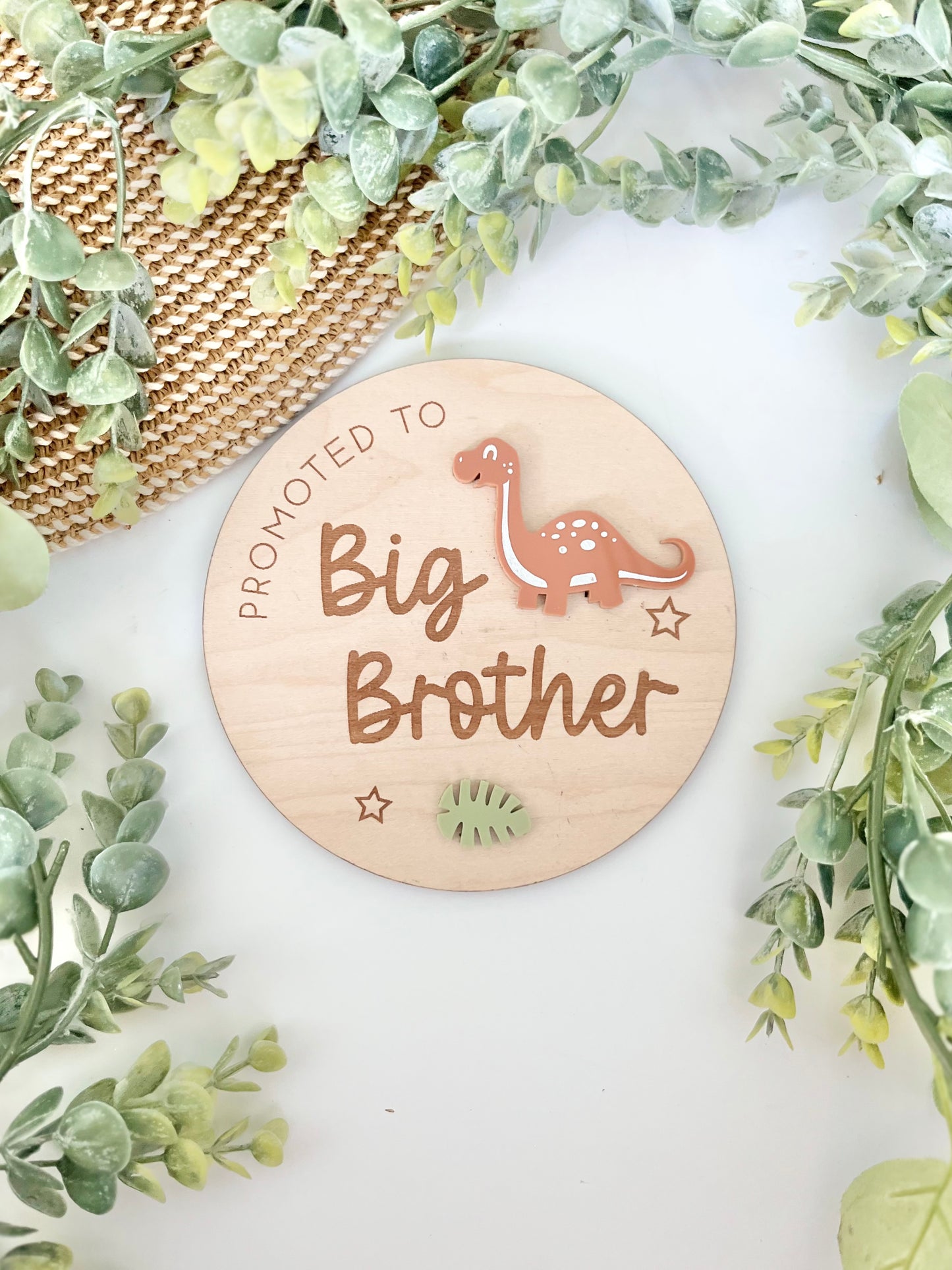 Promoted to Big Brother Plaque - Dinosaur
