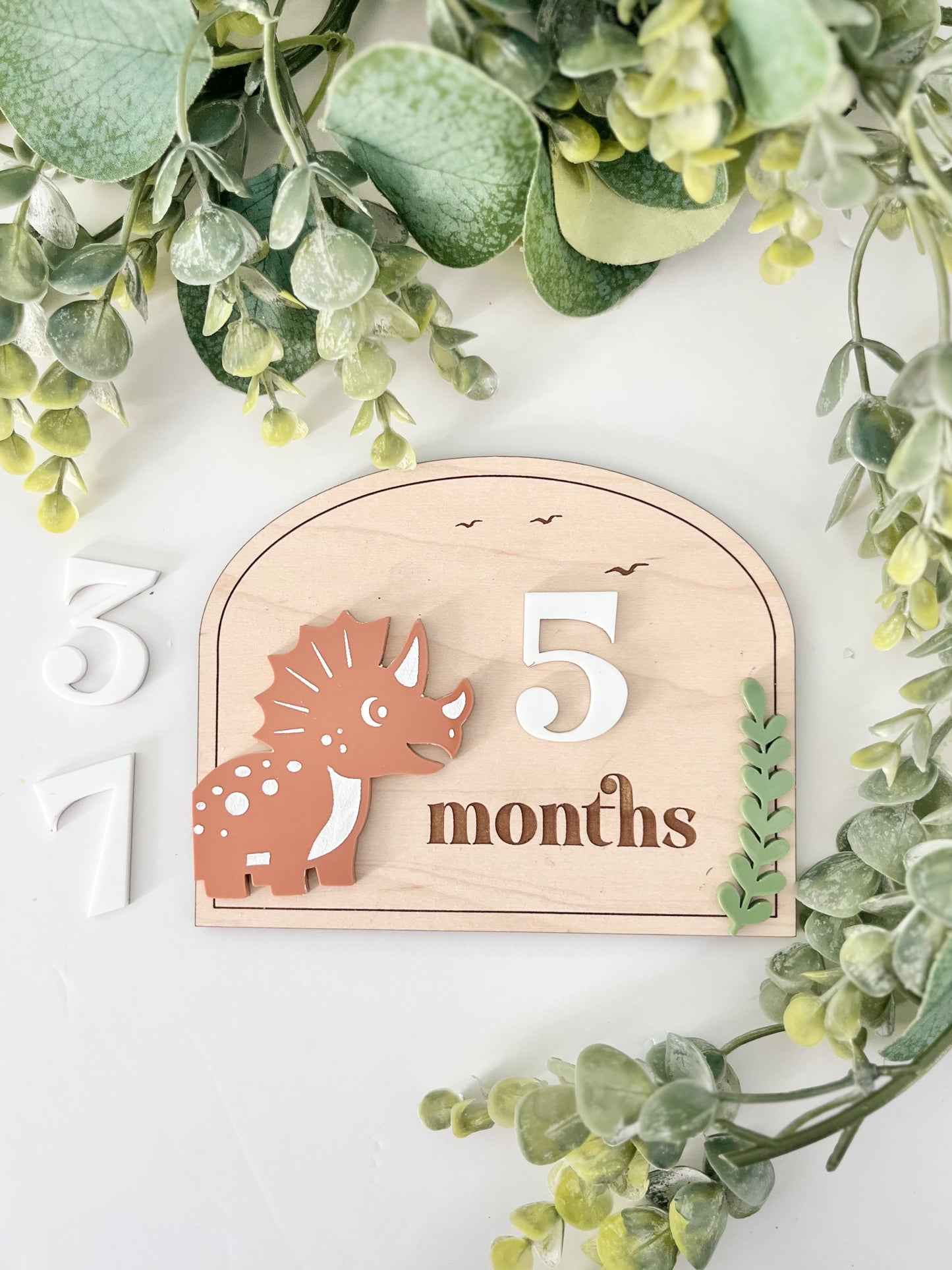 Baby Milestones - Dinosaur