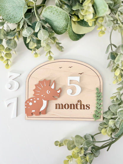 Baby Milestones - Dinosaur
