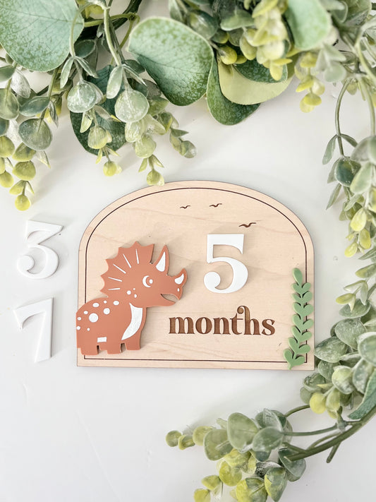 Baby Milestones - Dinosaur