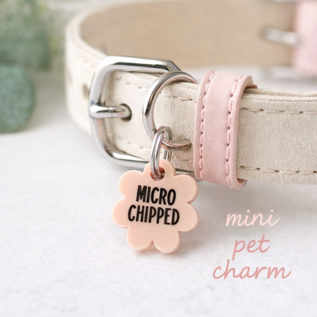 Mini Pet Charms - Microchipped