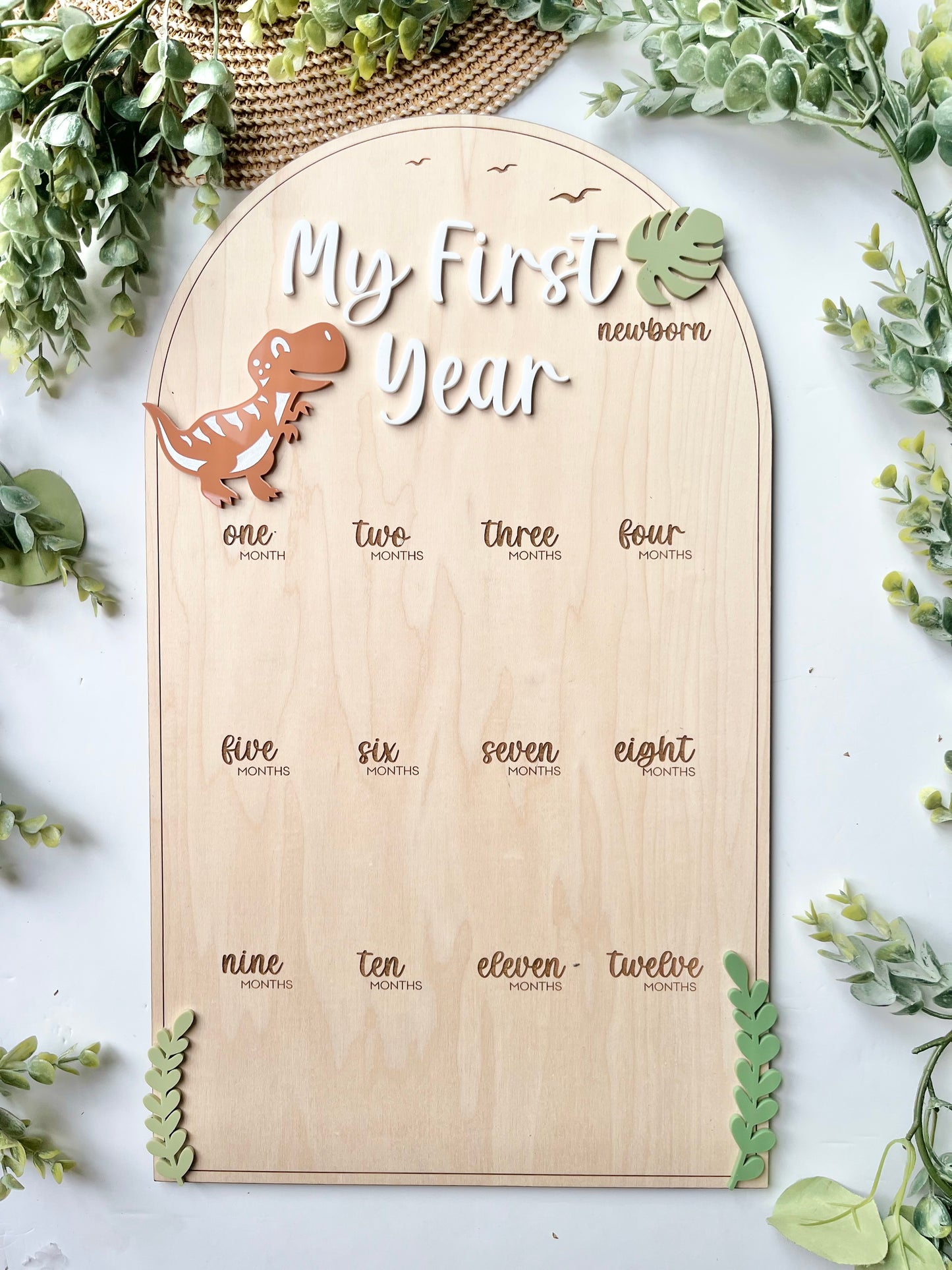 First Year Milestone Board - Dinosaur