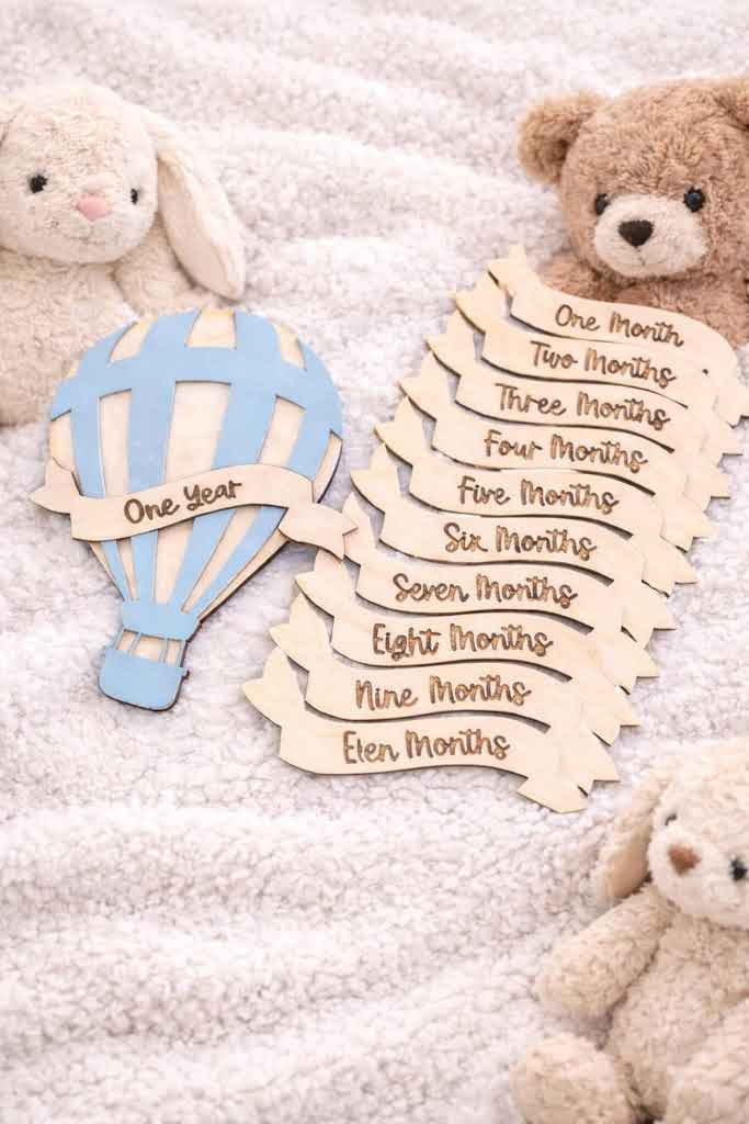 Baby Milestones Hot Air Balloon - Banner