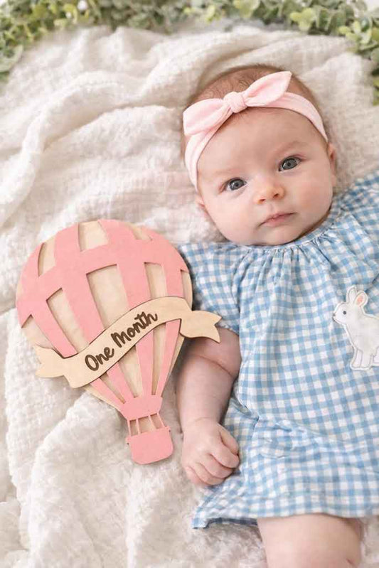 Baby Milestones Hot Air Balloon - Banner