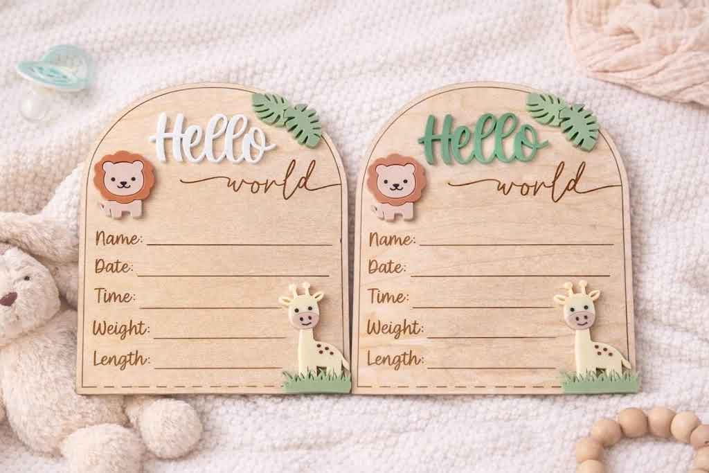 Hello World Birth Stats - Safari