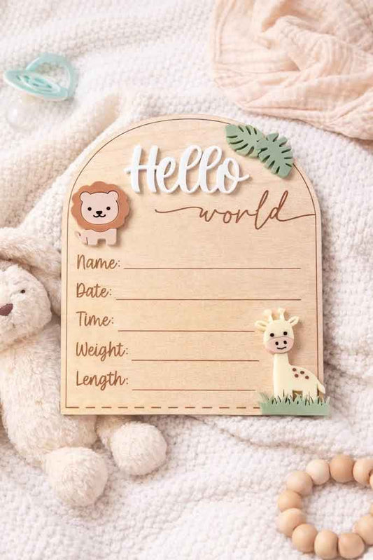 Hello World Birth Stats - Safari