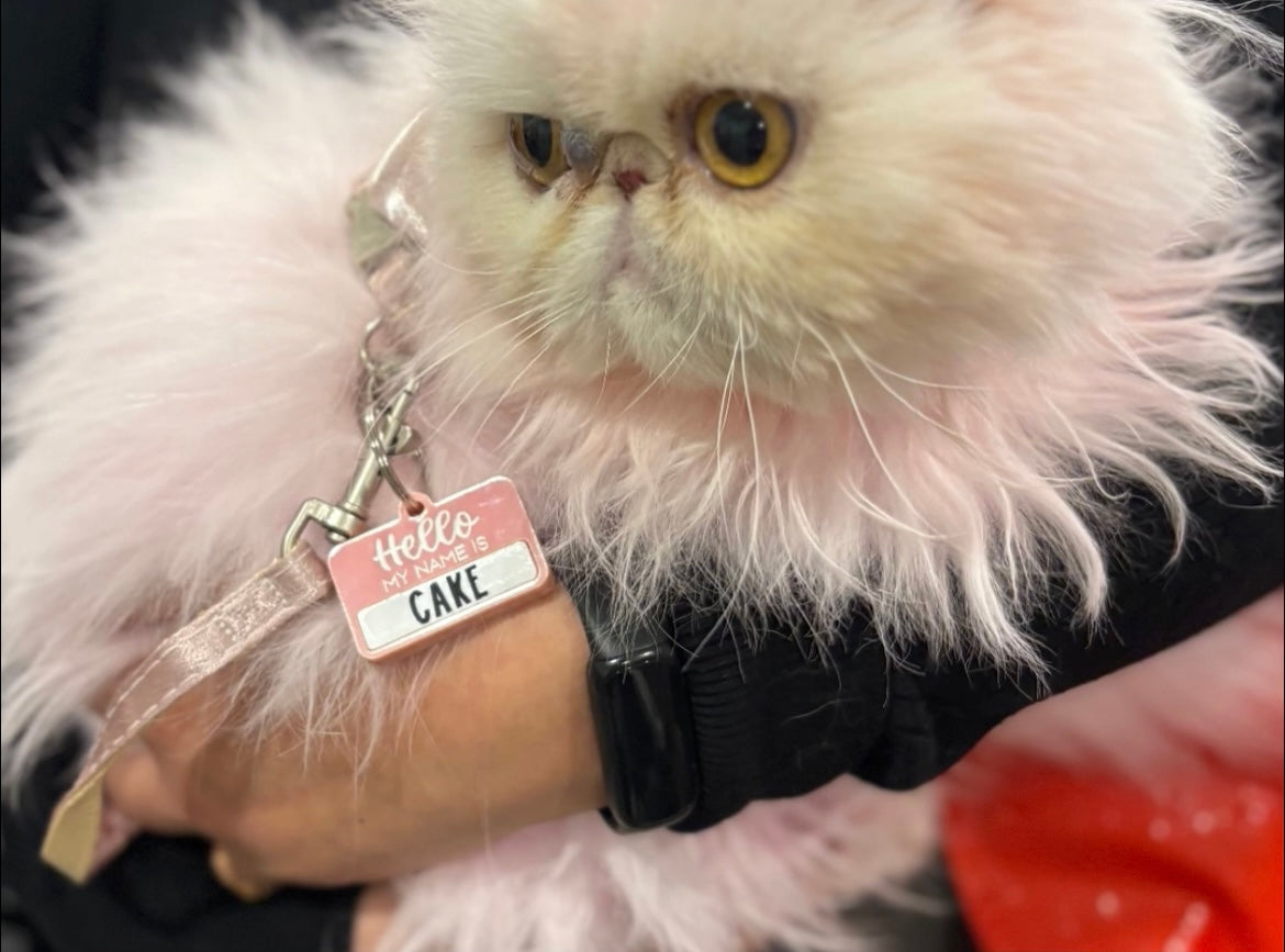 Pet ID Tags - "Hello My Name Is"