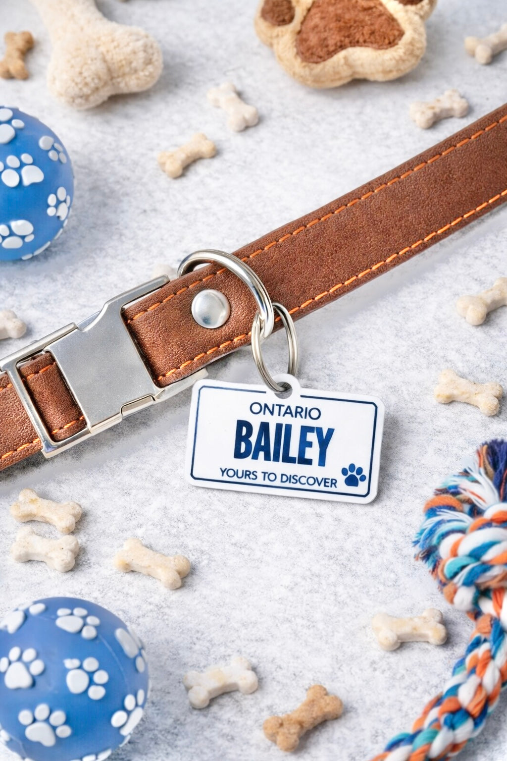 Pet ID Tag - Ontario License Plate