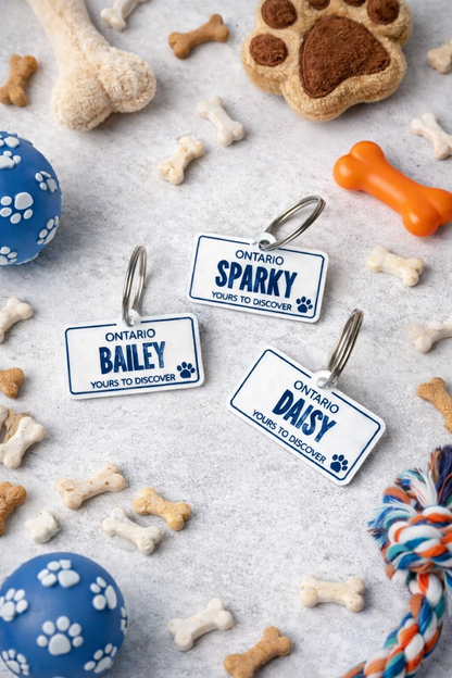 Pet ID Tag - Ontario License Plate