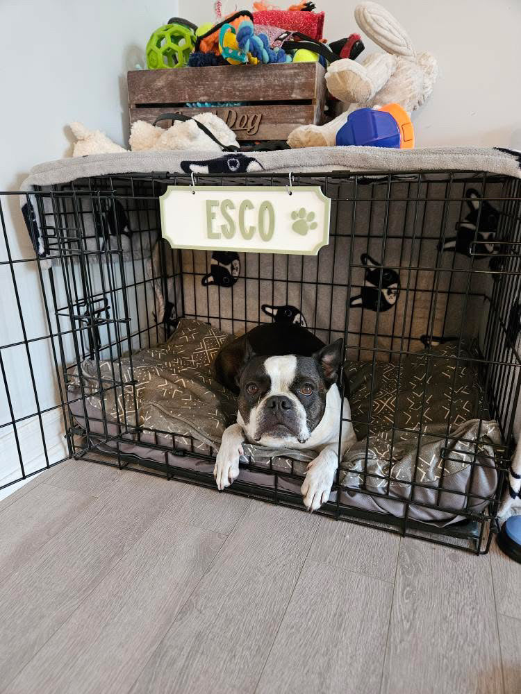 Dog Crate Sign - Rectangle